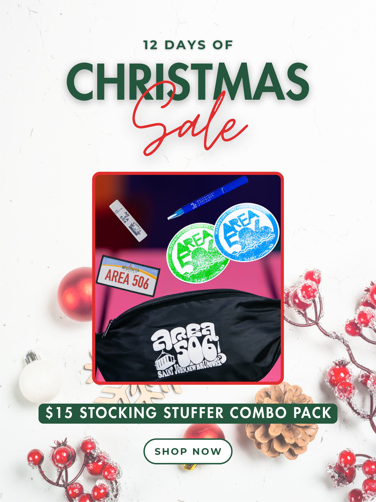Promotional image for a '12 Days of Christmas Sale' stocking stuffer combo pack with festive decorations.